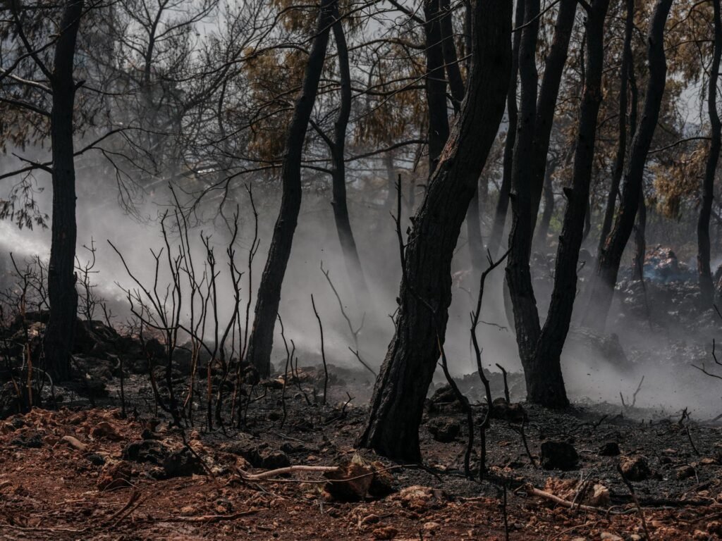 Fires, Floods, and Ash: Is LA Ready for the Next Disaster? LA Wildfire disaster.